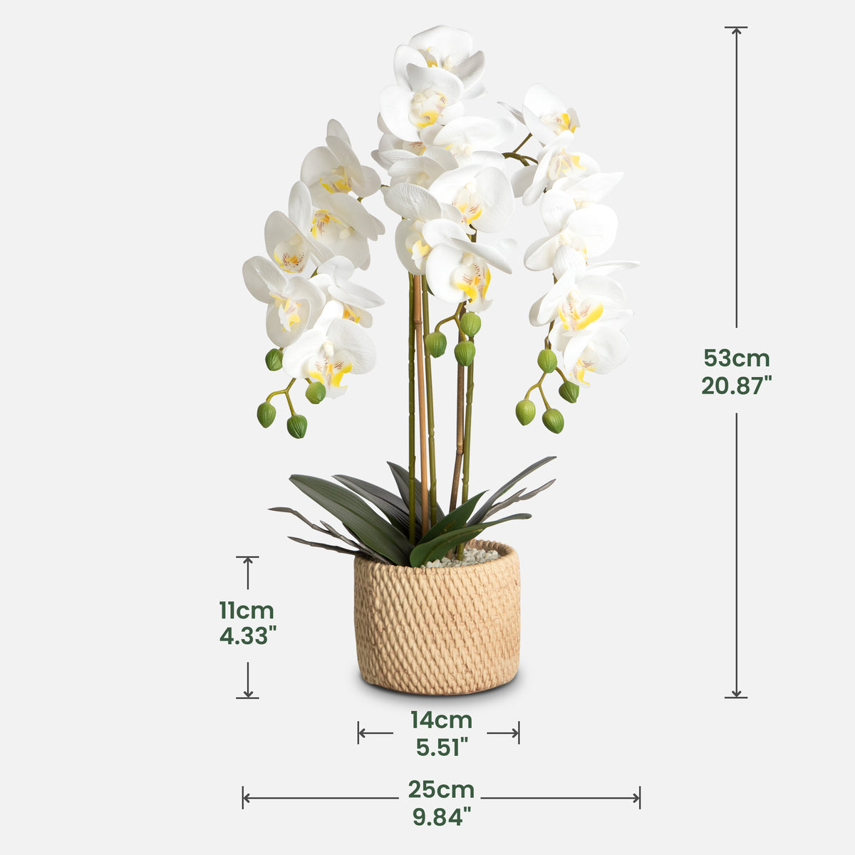 Faux Orchid Potted Floral Arrangement