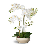 Faux Potted Orchid Flower Arrangement