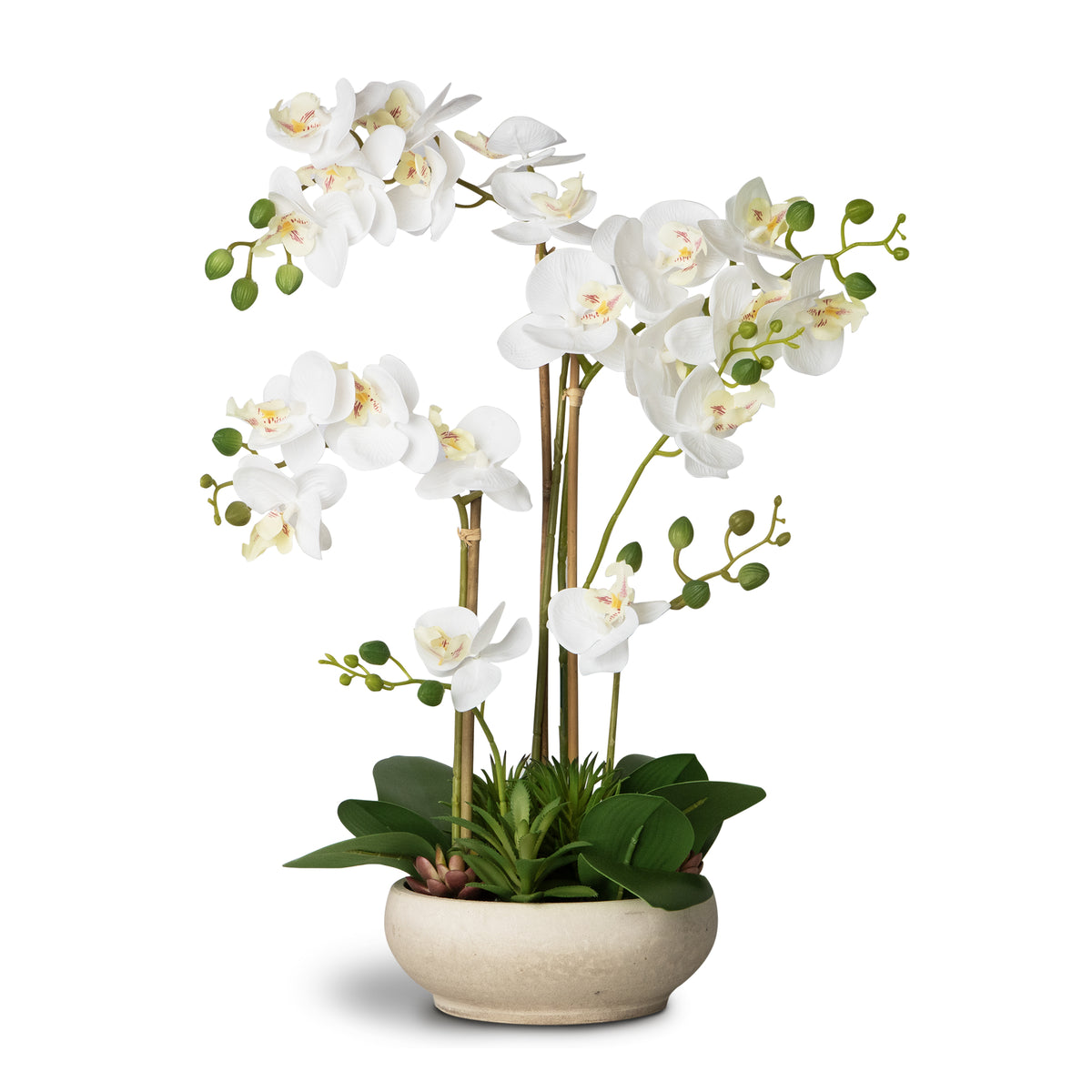 Faux Potted Orchid Flower Arrangement
