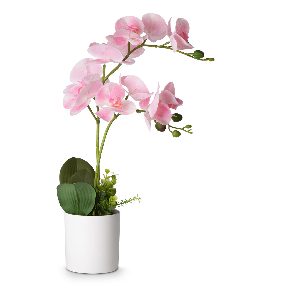 Fake Orchid Potted Flower Arrangement