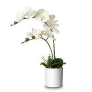 Fake Orchid Potted Flower Arrangement