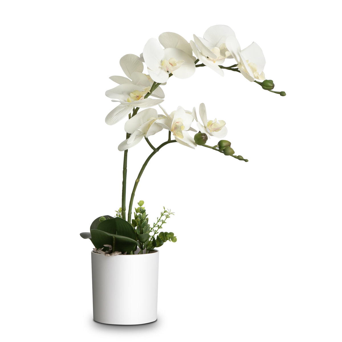 Fake Orchid Potted Flower Arrangement