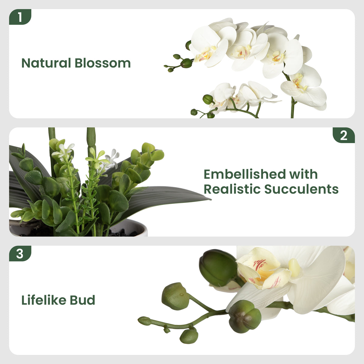 Fake Orchid Potted Flower Arrangement