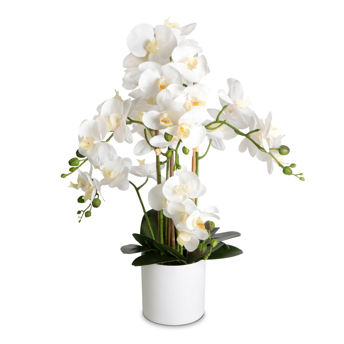 Artificial Orchid Arrangement for Home Decor