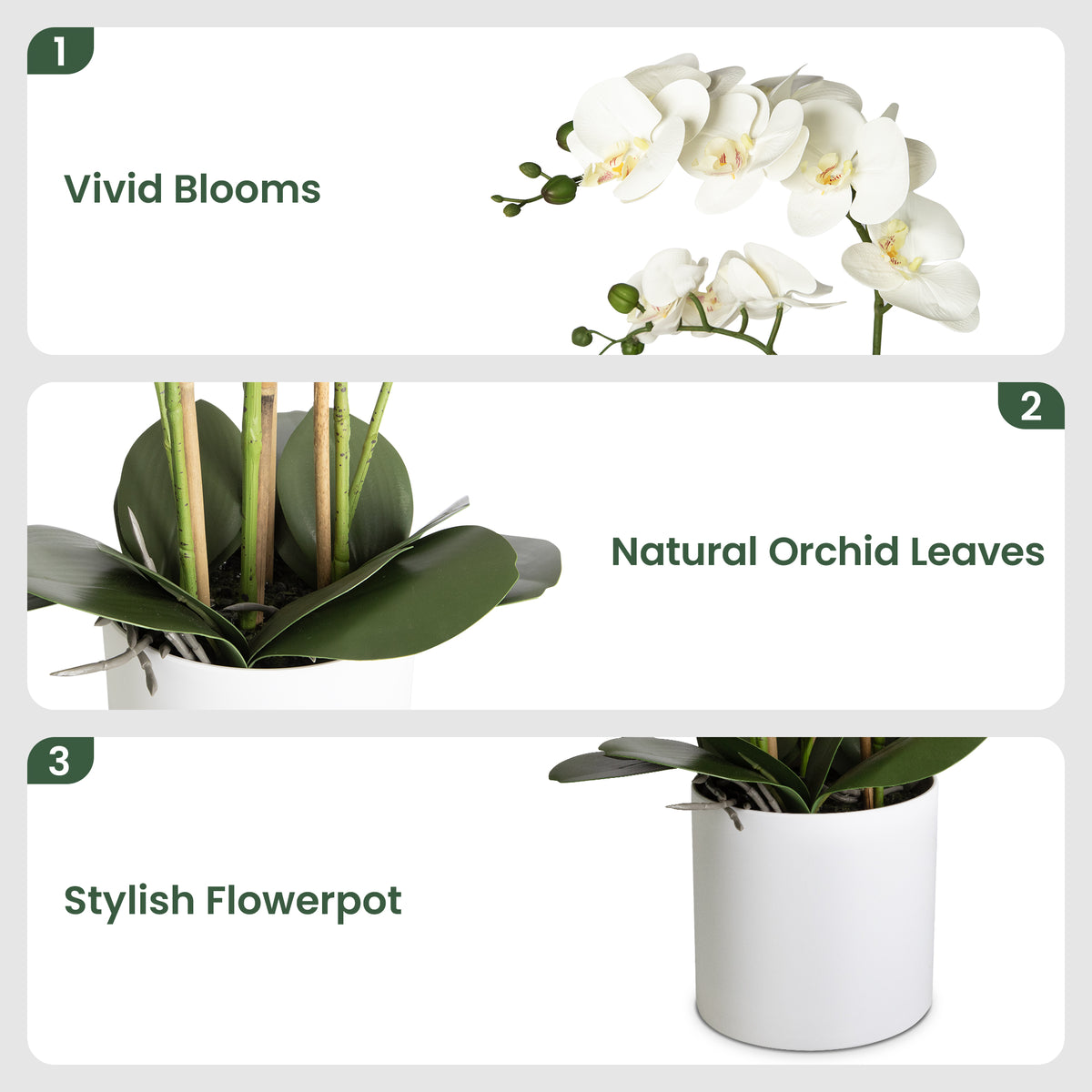 Artificial Orchid Arrangement for Home Decor