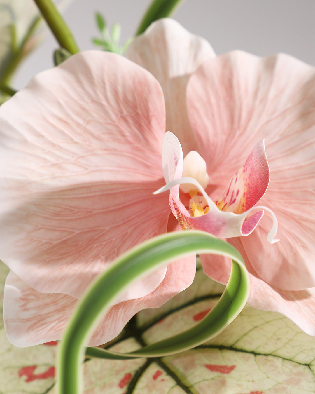 Artificial Flower Set - Striped Ceramic Vase