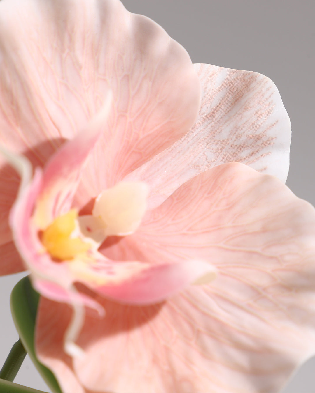 Artificial Flower Set - Striped Ceramic Vase